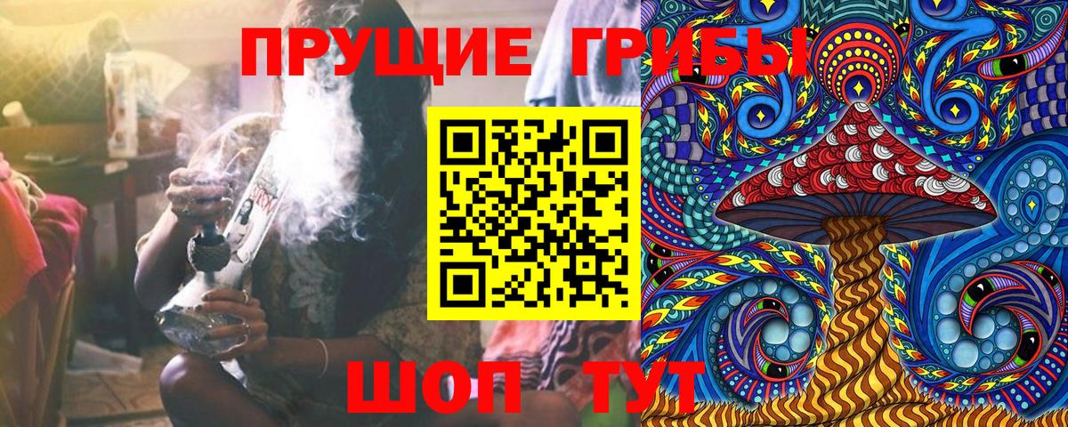 Псилоцибиновые грибы Psilocybine cubensis  Вход с VPN  Саранск  Псилоцибиновые грибы Psilocybe 